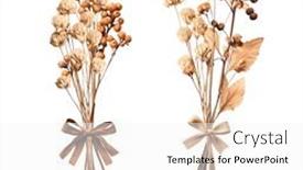  Presentation with flower - Presentation with set-of-bouquets-of-dried and a white colored foreground