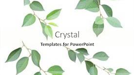  Presentation with green leaves - Colorful PPT theme enhanced with set-of-branch-with-green backdrop and a cream colored foreground