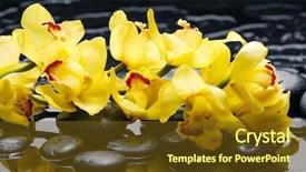  Presentation with orchid - Amazing presentation design having  backdrop and a  colored foreground