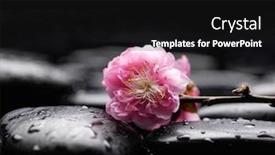  Presentation with sakura - Slide deck consisting of copper pipes and valves with control unit mounted on the wall background and a dark gray colored foreground