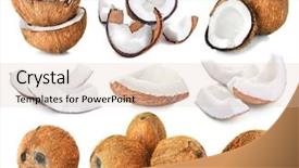  Presentation with green coconut - Audience pleasing PPT theme consisting of set of coconut pieces backdrop and a lemonade colored foreground