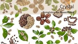  Presentation with green coffee - Colorful slide set enhanced with set of coffee grains beans backdrop and a coral colored foreground