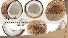  Presentation with coconut fruit - PPT layouts featuring set-of-different-coconuts background and a coral colored foreground