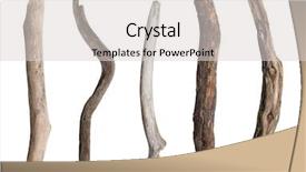  Presentation with dry - Colorful presentation enhanced with set of dry tree branch backdrop and a light gray colored foreground
