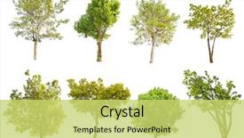  Presentation with green tree - Amazing presentation design having set of eight green trees backdrop and a yellow colored foreground