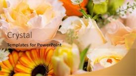  Presentation with flower - PPT theme having set-of-flower-box background and a coral colored foreground