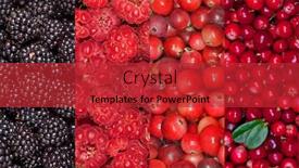  Presentation with berries - Slides featuring set-of-forest-berries-backgrounds background and a red colored foreground