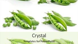  Presentation with green pea plant - PPT layouts featuring set of fresh green pea background and a soft green colored foreground