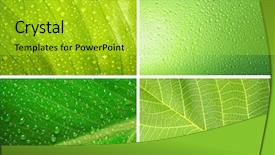  Presentation with drop - Slides having set of green nature backgrounds background and a yellow colored foreground