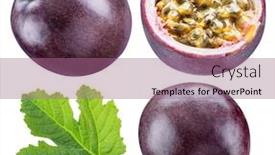  Presentation with passion fruit - Cool new PPT layouts with set of passion fruit its cross cut section and leaf passion fruits clipping path backdrop and a coral colored foreground