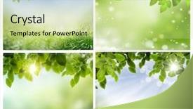  Presentation with spring - Cool new presentation theme with set-of-photos-of-spring backdrop and a soft green colored foreground