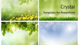  Presentation with spring photo album - Presentation enhanced with set of photos of spring background and a  colored foreground