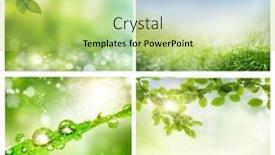  Presentation with spring - PPT theme consisting of set-of-photos-of-spring background and a  colored foreground