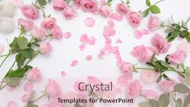  Presentation with pink rose petals - Colorful theme enhanced with set of pink rose with leaf lying with candle and herbal ball with pile of rose petals backdrop and a lemonade colored foreground