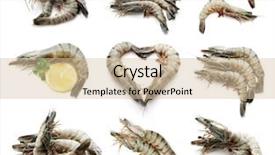 Presentation with shrimp - Beautiful PPT layouts featuring set of raw shrimps backdrop and a soft green colored foreground