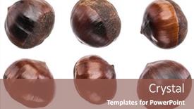  Presentation with fruits - Presentation design with set-of-roasted-edible-chestnut background and a violet colored foreground