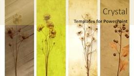  Presentation with grunge flower - Slides having set-of-vertical-banners background and a yellow colored foreground