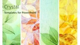  Presentation with vertical - Slide deck enhanced with set-of-vertical-or-horizontal background and a soft green colored foreground