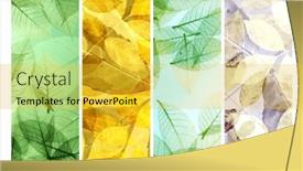  Presentation with vertical - Slide set having set-of-vertical-or-horizontal background and a yellow colored foreground