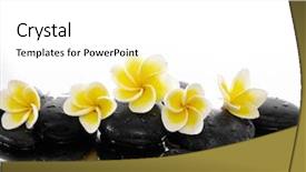  Presentation with zen - Amazing slide set having set of with zen stones and frangipani backdrop and a white colored foreground