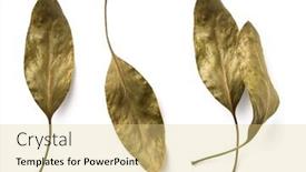  Presentation with lays - Presentation theme consisting of set-or-collection-of-shiny background and a blonde colored foreground