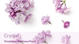  Presentation with purple floral - PPT theme featuring set-or-collection background and a lemonade colored foreground