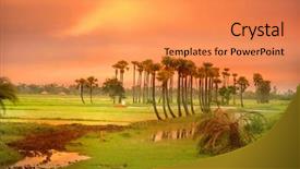  Presentation with rural india paddy field green - Slides featuring set sky over paddy field background and a gold colored foreground