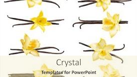  Presentation with dried vanilla pods and flowers - PPT theme with set-with-vanilla-pods background and a blonde colored foreground
