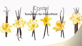  Presentation with dried vanilla pods and flowers - Colorful presentation theme enhanced with set-with-vanilla-pods backdrop and a white colored foreground