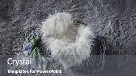  Presentation with newborn baby - PPT layouts having setup for a newborn baby background and a gray colored foreground