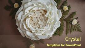  Presentation with newborn baby - Slides enhanced with setup-ready-for-newborn-photo background and a tawny brown colored foreground