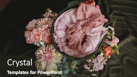  Presentation with photo show - Colorful slides enhanced with setup-ready-for-newborn-photo backdrop and a wine colored foreground