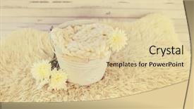  Presentation with newborn - Audience pleasing presentation theme consisting of setup with flowers for newborn backdrop and a  colored foreground