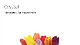  Presentation with photo tulips - Theme featuring seven-tulips-bouquet-flowers background and a white colored foreground