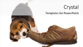  Presentation with cute - Presentation theme consisting of seven weeks old cute little background and a white colored foreground