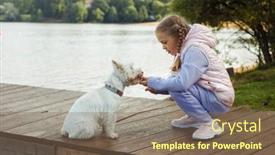  Presentation with pets - Slide set having seven-year-old-girl background and a violet colored foreground