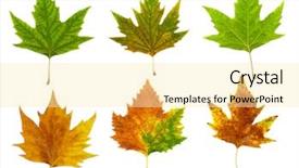  Presentation with green maple leaves - PPT theme featuring several and colorful leaves background and a blonde colored foreground