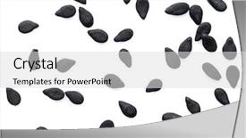  Presentation with sesame seeds and oil - Presentation theme consisting of several black sesame seeds isolated background and a light gray colored foreground