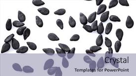  Presentation with seeds - Presentation design enhanced with several black sesame seeds isolated background and a light blue colored foreground