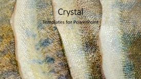  Presentation with skin - Beautiful PPT layouts featuring several-defrosted-merluccius-as-skin backdrop and a coral colored foreground