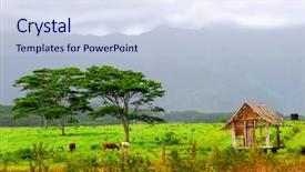  Presentation with kauai hawaii - PPT layouts enhanced with several horses feeding background and a  colored foreground