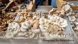  Presentation with cape town - Theme with several-mushroom-type background and a coral colored foreground