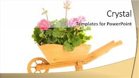  Presentation with pink white - Audience pleasing PPT layouts consisting of geraniums in wooden wheel barrow backdrop and a white colored foreground