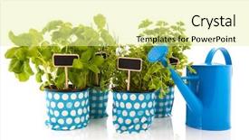  Presentation with herbs blue - Slide set consisting of several pots with kitchen herbs background and a blonde colored foreground