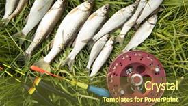  Presentation with green grass under the snow - Presentation enhanced with several roach fish and fishing background and a tawny brown colored foreground