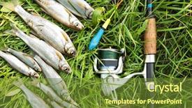  Presentation with fishing - Cool new slide set with several roach fish and fishing backdrop and a tawny brown colored foreground