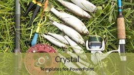  Presentation with grass texture on green - PPT theme consisting of several roach fish and fishing background and a  colored foreground