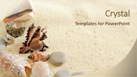  Presentation with sea shells - Audience pleasing PPT theme consisting of several sea shells on the sand background backdrop and a cream colored foreground