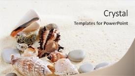  Presentation with sea shells - Colorful slide set enhanced with several sea shells on the sand background backdrop and a white colored foreground