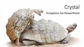  Presentation with funny - Slides having sex posation - funny picture of a love background and a white colored foreground